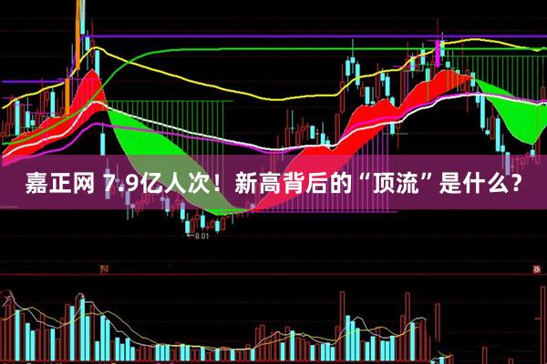嘉正网 7.9亿人次！新高背后的“顶流”是什么？