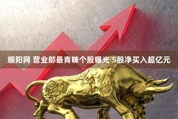 顺阳网 营业部最青睐个股曝光 5股净买入超亿元