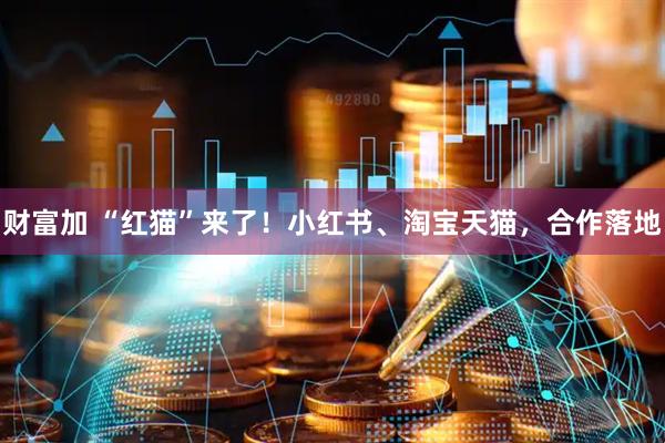 财富加 “红猫”来了！小红书、淘宝天猫，合作落地