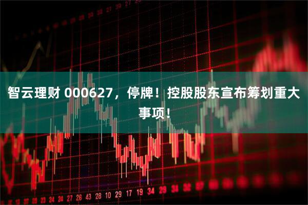智云理财 000627，停牌！控股股东宣布筹划重大事项！