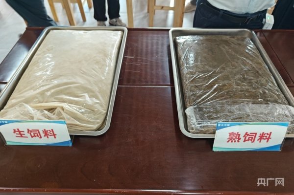A策略 红星照耀中国·千里跃进大别山丨桑蚕进工厂，振兴新“丝”路